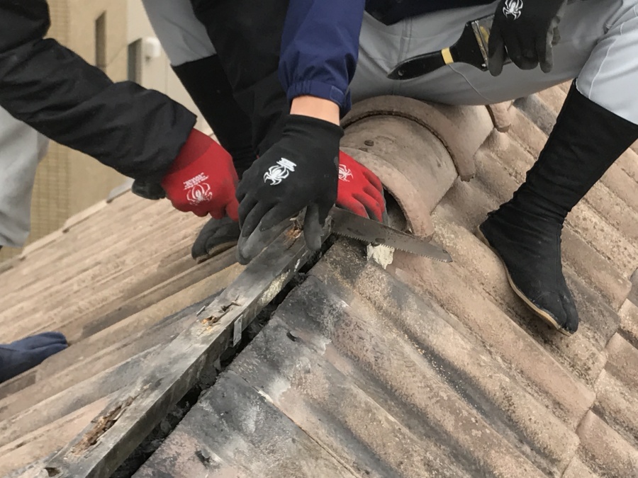 棟積み替え工事　下地木の撤去