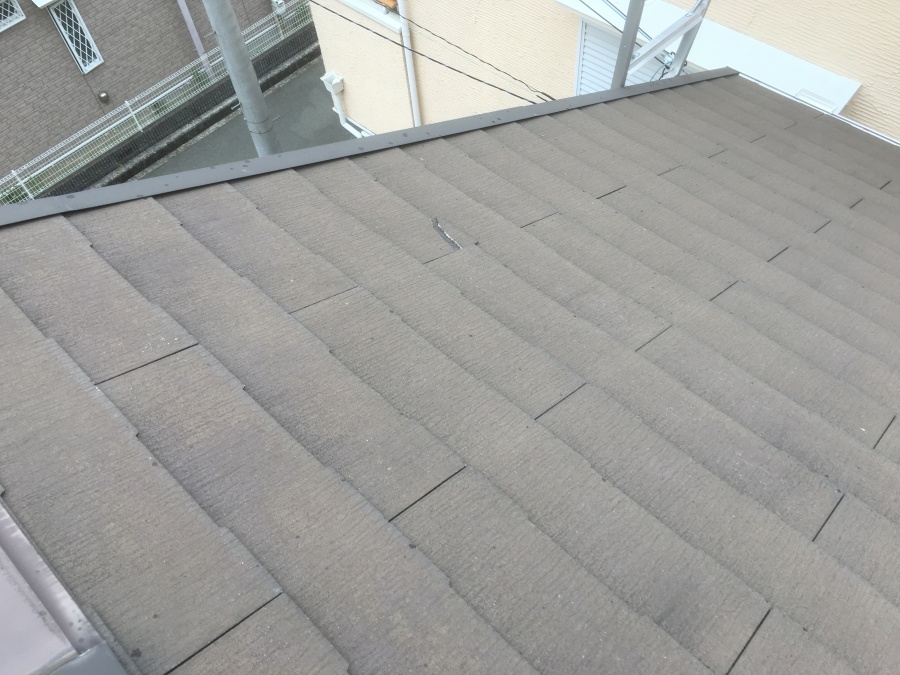 現地調査　大屋根スレート