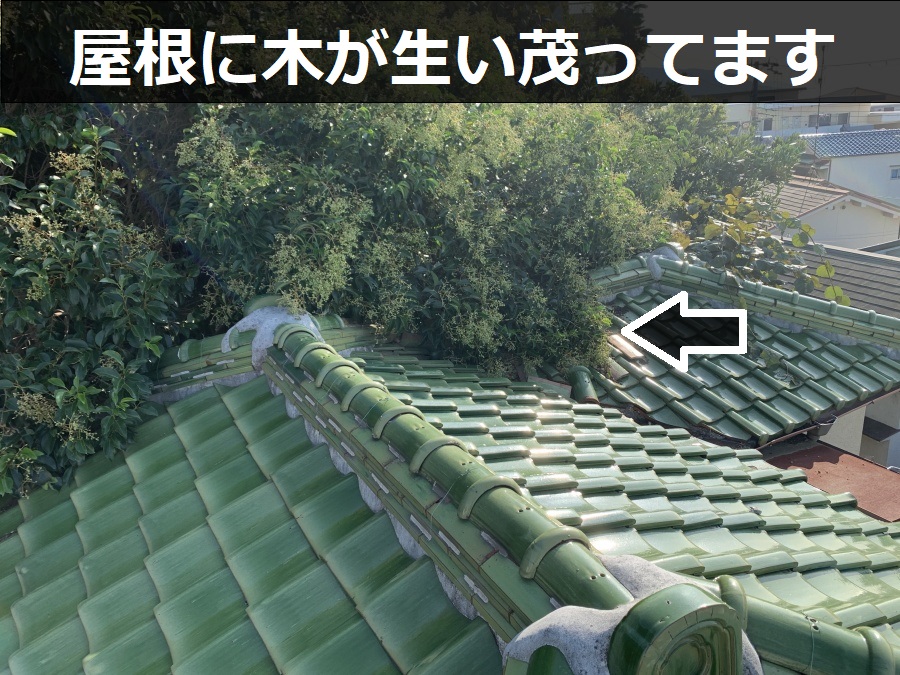 木が生い茂っている瓦屋根