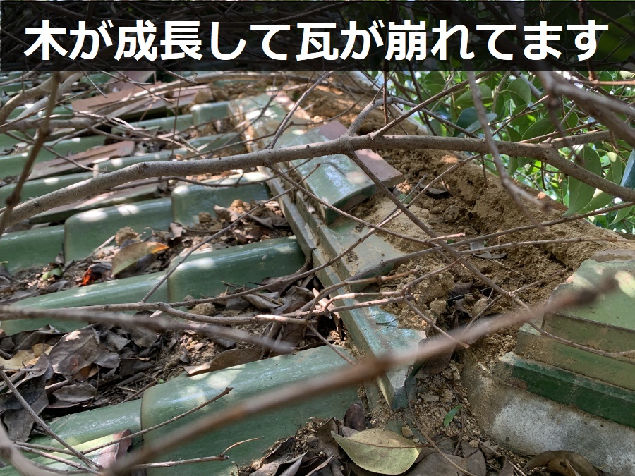 木が成長して瓦が崩れてます