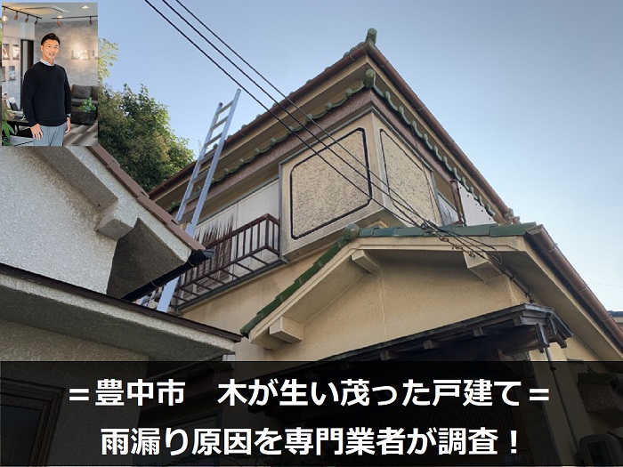 豊中市　雨漏り点検を実施！木が生い茂ったお家の雨漏り原因を確認しました