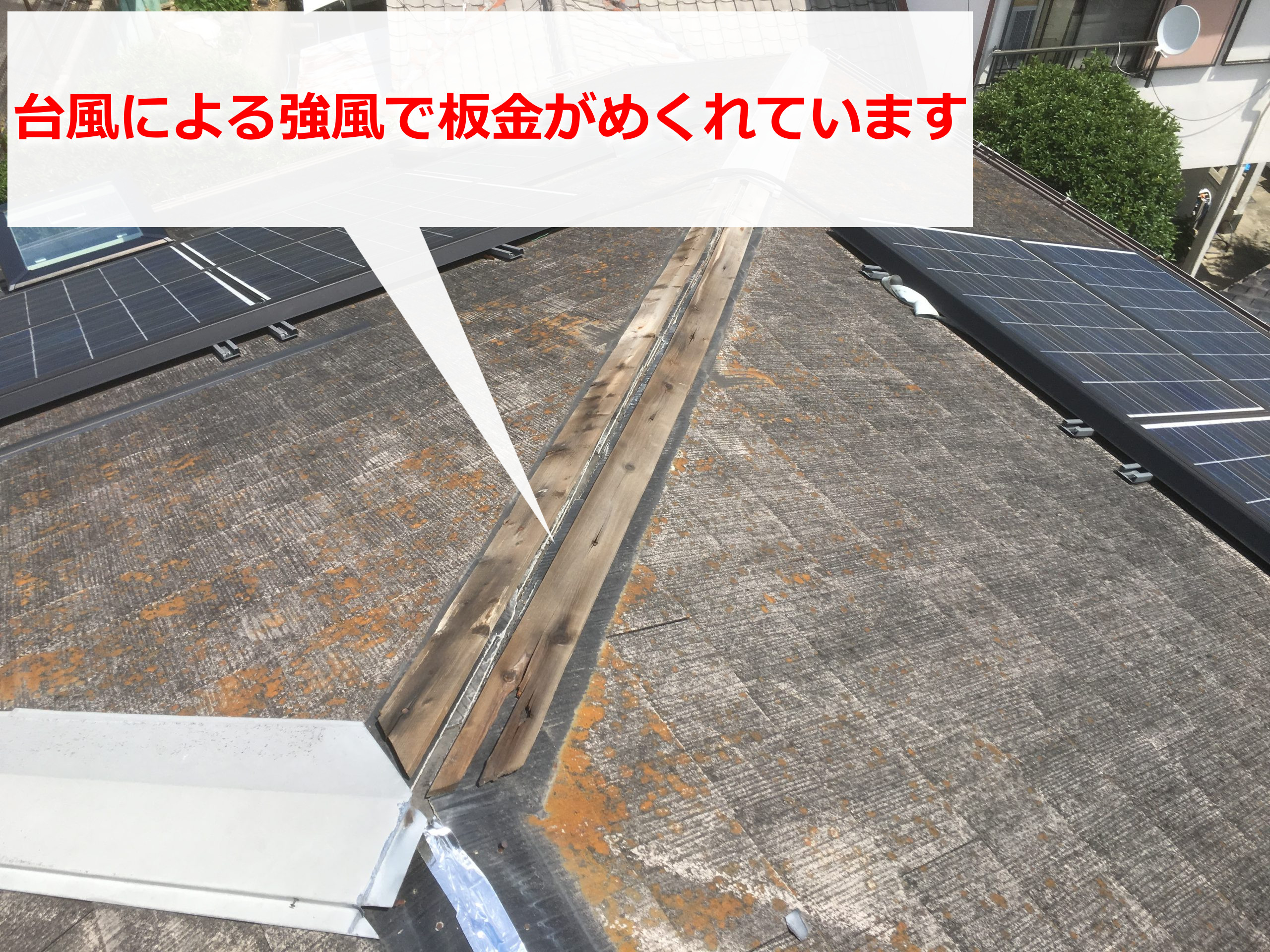 池田市 台風被害を受けた屋根 火災保険での復旧をご希望です！