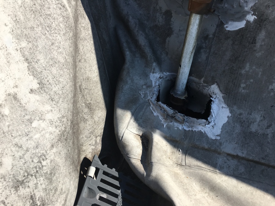 既存屋上ドレン廻りの調査