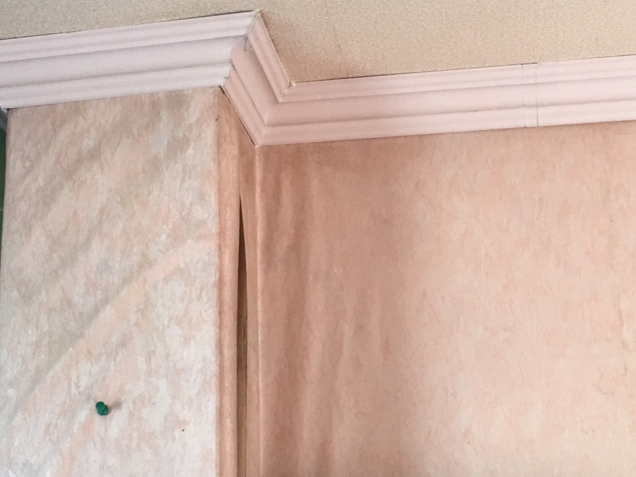 現地調査　室内調査