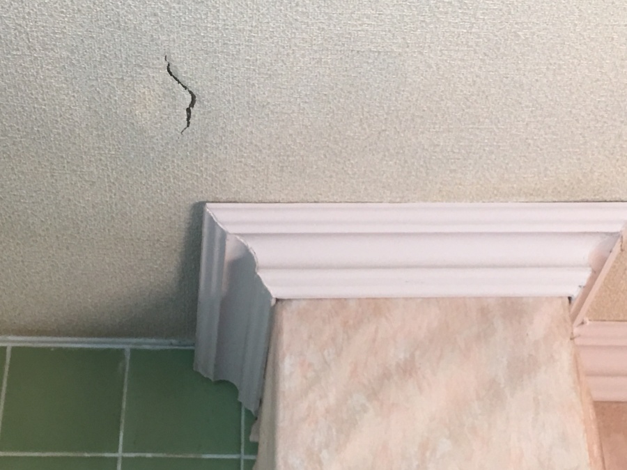 現地調査　室内調査