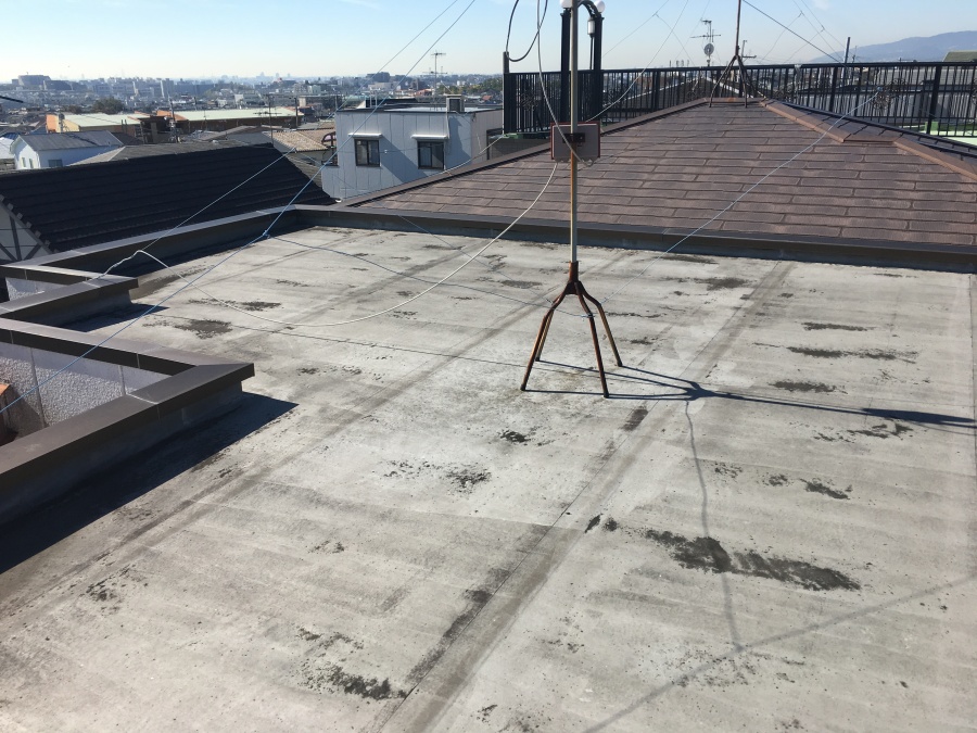 現地調査　屋上調査