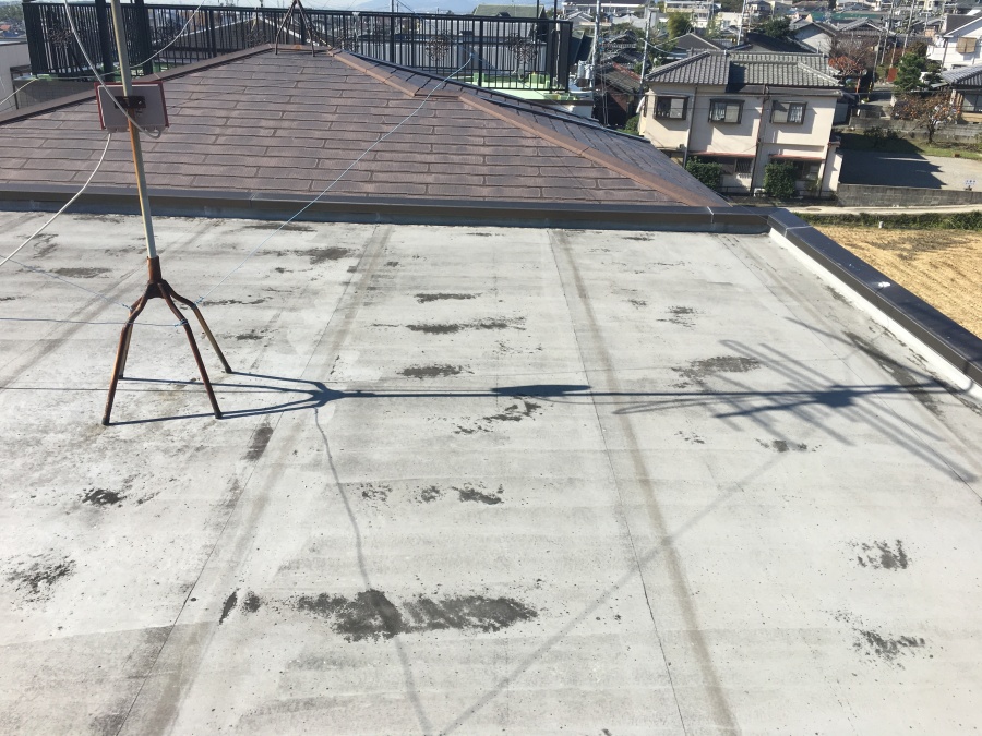 現地調査　屋上調査