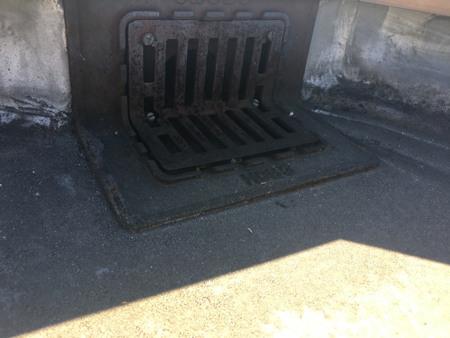 現地調査　屋上調査