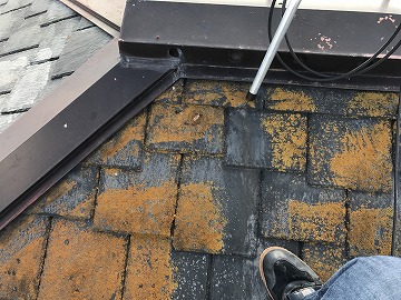 屋根塗装　屋根にコケ