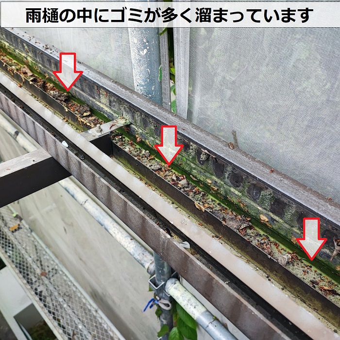 2階ベランダ屋根の波板の雨樋内部にゴミが溜まっている様子