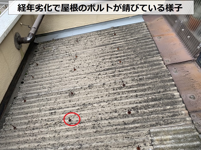 大阪市 l 雨漏り発生？無料点検からわかる原因と屋根修繕のポイント