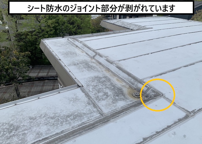 大阪市｜陸屋根シート防水からの雨漏りを無料点検とご提案