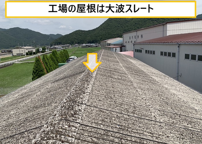 茨木市｜工場の屋根・外壁リフォーム相談！無料点検で最適プランをご提案