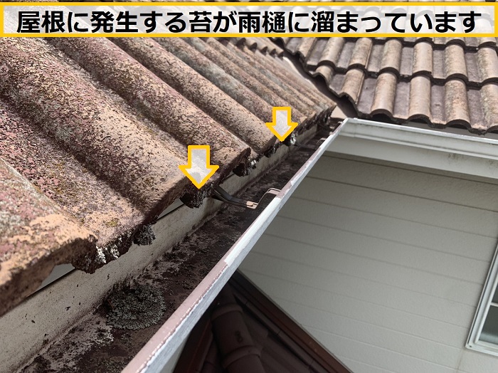 高槻市｜雨樋の詰まりで無料調査へ！現地で応急処置を実施しました