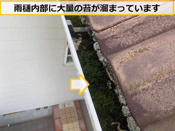 高槻市｜雨樋の詰まりで無料調査へ！現地で応急処置を実施しました