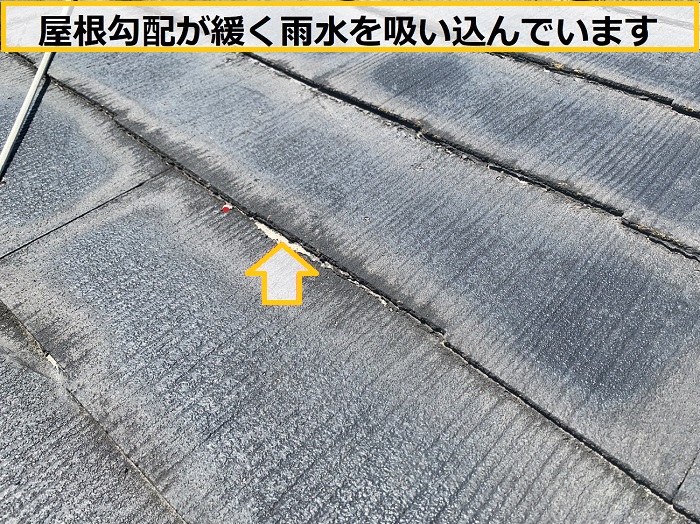 箕面市｜緩い屋根勾配が原因？雨漏り事例から見る屋根勾配の重要性