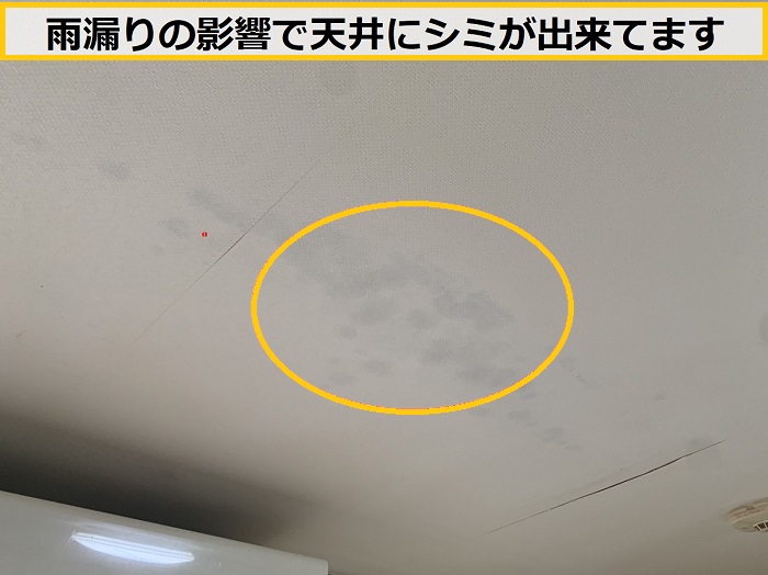 高槻市｜3階建て住宅で雨漏り診断！専門業者が原因を徹底調査・特定