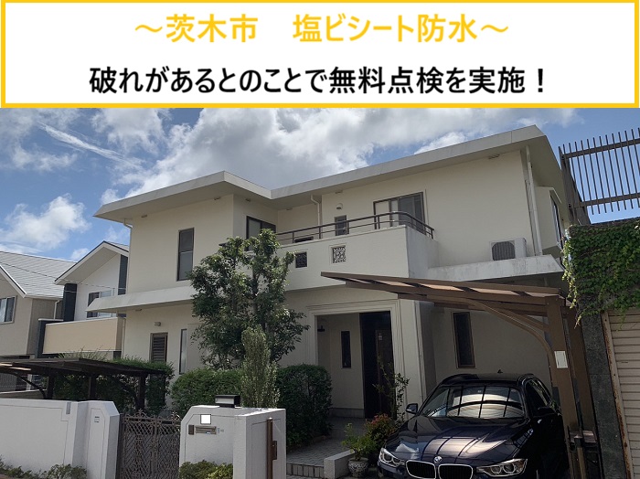 茨木市｜屋上防水の破れを発見！塩ビシート防水の無料点検で分かった劣化症状を解説