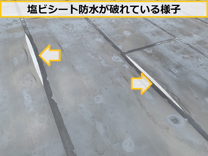 茨木市｜屋上防水の破れを発見！塩ビシート防水の無料点検で分かった劣化症状を解説