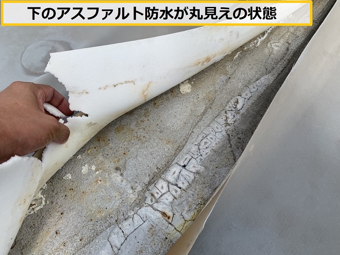 茨木市｜屋上防水の破れを発見！塩ビシート防水の無料点検で分かった劣化症状を解説