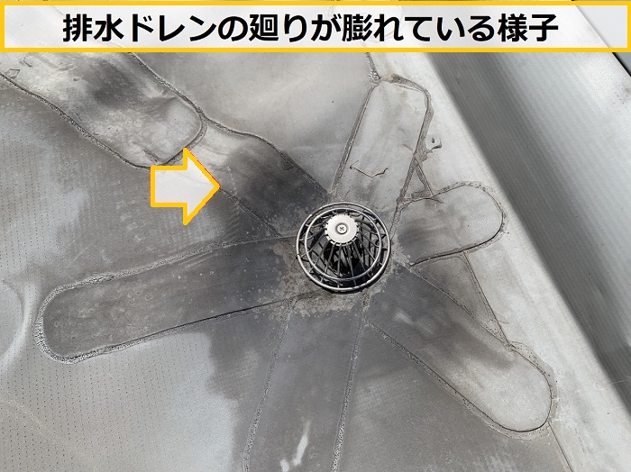 茨木市｜屋上防水の破れを発見！塩ビシート防水の無料点検で分かった劣化症状を解説