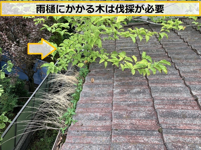 箕面市｜雨樋の水漏れにお困りの方へ！無料点検で原因を確認し修理をご提案
