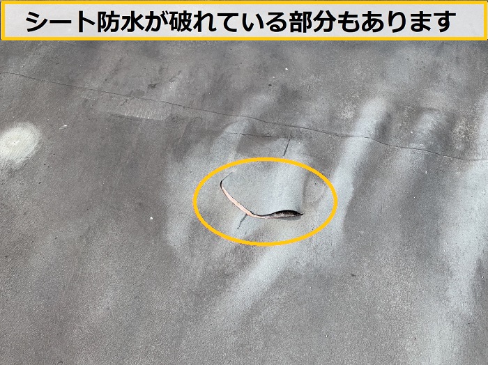 高槻市｜ビル屋上のシート防水を無料点検！陸屋根の劣化症状を徹底調査