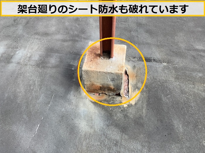高槻市｜ビル屋上のシート防水を無料点検！陸屋根の劣化症状を徹底調査