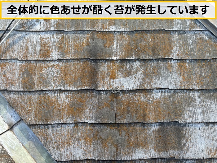 豊中市｜突然の訪問業者に「屋根が割れている」と指摘！…無料点検で真相を確認