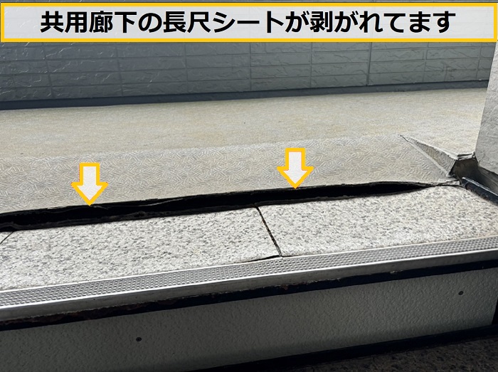 池田市｜アパートの共用廊下・階段の劣化を無料点検！早めの確認がおすすめ