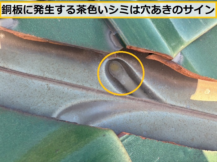 豊中市｜瓦屋根の「谷」から雨漏り…穴あきなしでも漏れる原因を解説