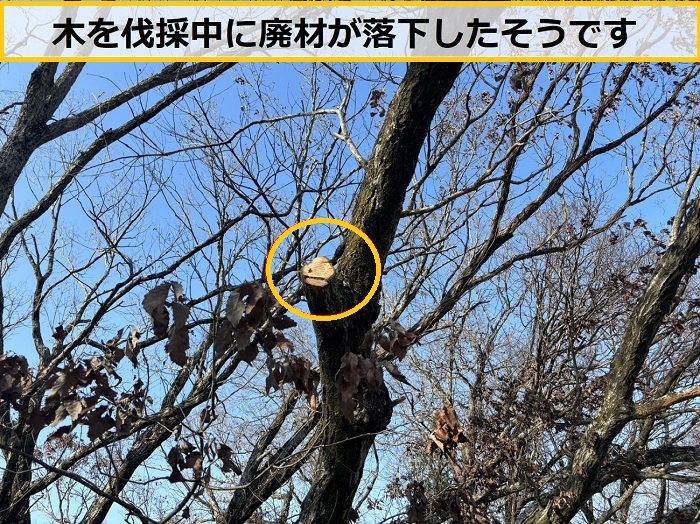 箕面市｜屋根の穴あき補修を無料見積り！瓦棒とはどんな屋根？