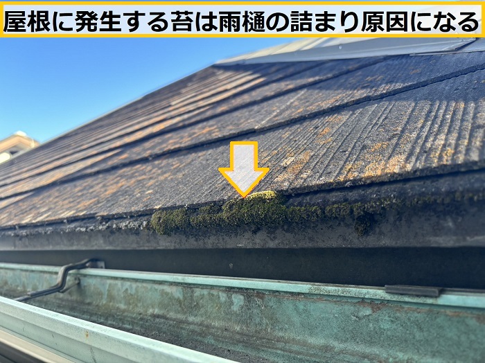 豊中市｜空き家は要注意！屋根や外壁を放置する危険性と外装点検のポイント