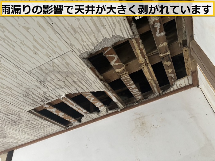 豊中市｜建て回し古民家の繰り返す雨漏りを無料診断で徹底調査