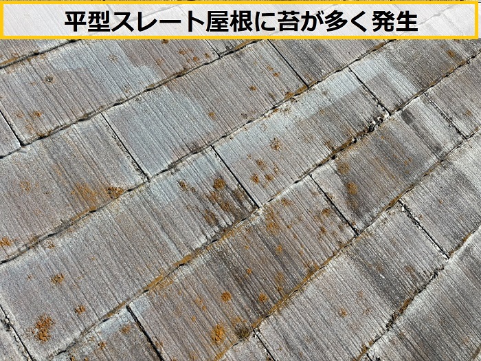 枚方市｜商業施設平型スレート屋根の雨漏り点検とおすすめの補修工法を解説！