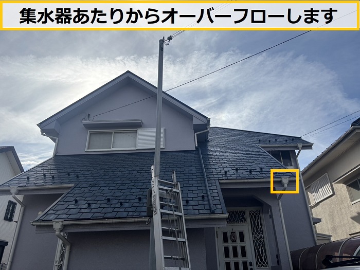 茨木市｜雨樋に苔が溜まってオーバーフロー！苔が発生する原因を無料診断