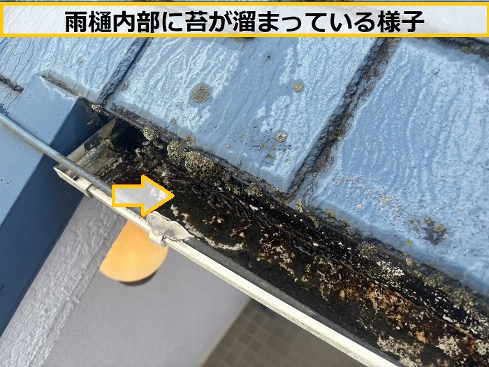 茨木市｜雨樋に苔が溜まってオーバーフロー！苔が発生する原因を無料診断
