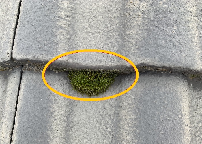 吹田市　雨樋清掃で詰まり解消