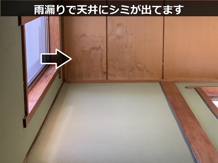 雨漏りで天井にシミが出ている様子