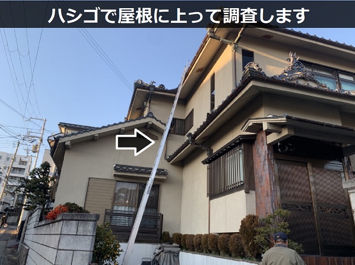 ハシゴで屋根に上っている様子を記載