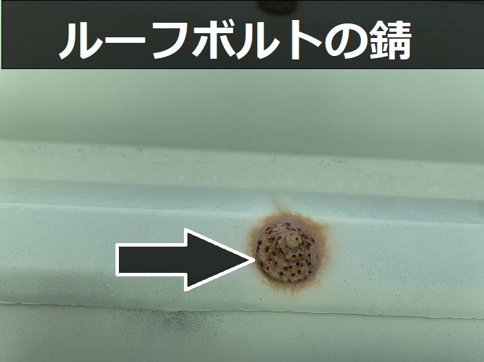 折板屋根のルーフボルトが錆びている様子
