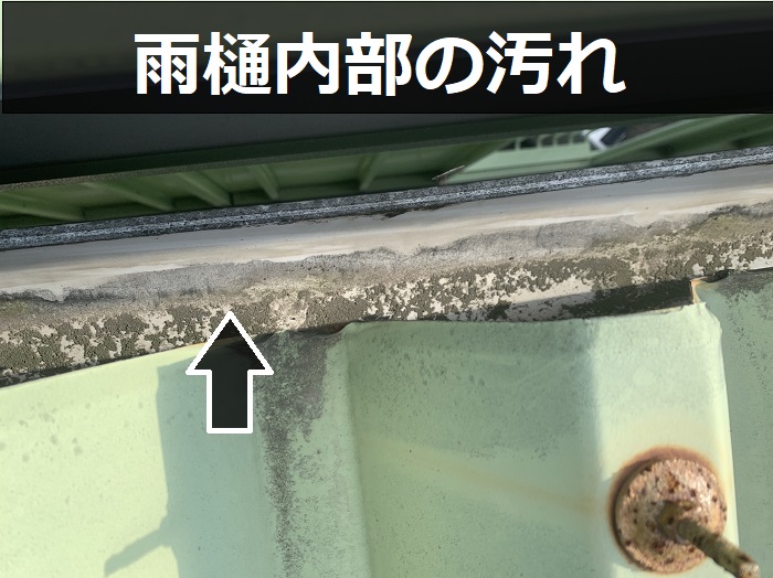雨樋内部の汚れ