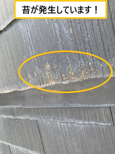 高槻市｜スレート屋根で雨漏り発生？5年前に塗装した屋根を徹底調査！