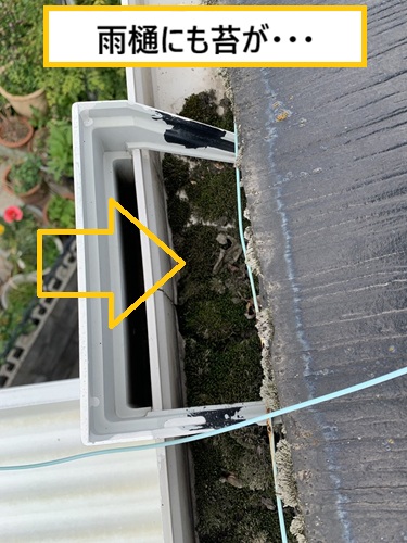 高槻市｜スレート屋根で雨漏り発生？5年前に塗装した屋根を徹底調査！