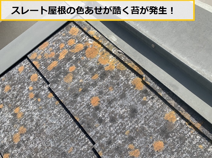 三田市　雨漏り点検！スレート屋根からの雨漏りをプロが無料調査