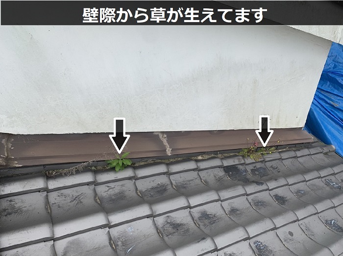 壁際から草が生えている瓦屋根