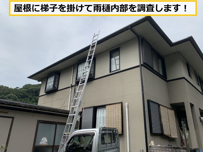池田市｜雨樋の水漏れ相談！原因は大量の落ち葉による詰まりでした