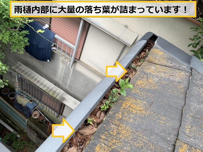 池田市｜雨樋の水漏れ相談！原因は大量の落ち葉による詰まりでした