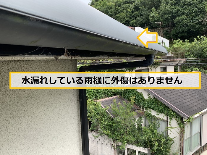 池田市｜雨樋の水漏れ相談！原因は大量の落ち葉による詰まりでした