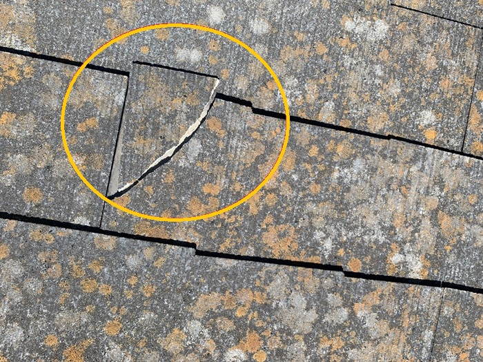 枚方市｜強風被害で屋根上アンテナ倒壊…火災保険適用は？修理事例を解説